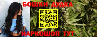 прущие грибы Краснокаменск