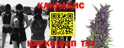 прущие грибы Краснокаменск