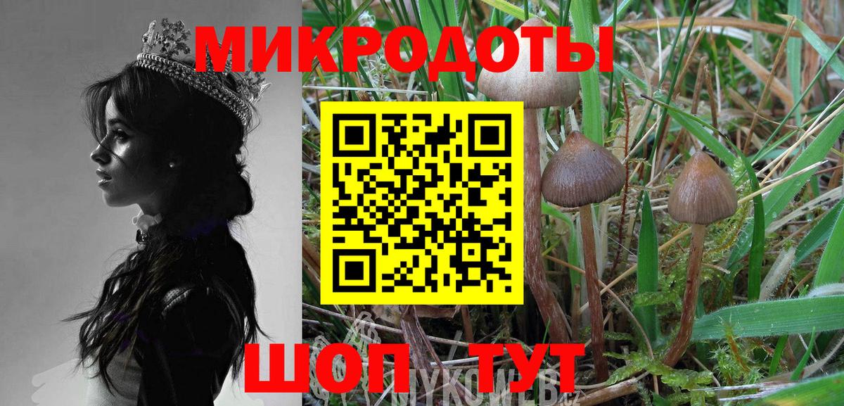 Галлюциногенные грибы Psilocybine cubensis Елизово