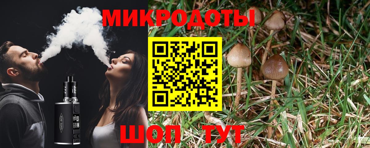 Псилоцибиновые грибы Magic Shrooms  Вход с VPN  Галлюциногенные грибы мухоморы  Елизово 