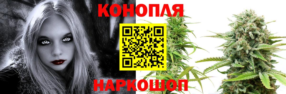 Марихуана планчик  Марихуана планчик  Марихуана AK-47  Бошки Шишки конопля  Елизово  Вход с VPN 